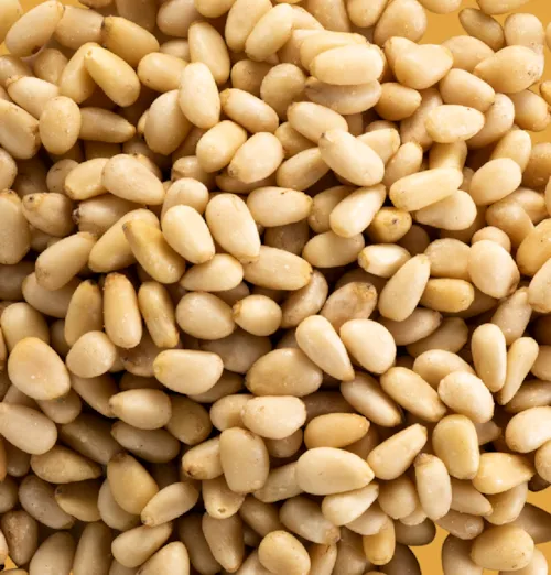 Pignons de Pin Sibirica